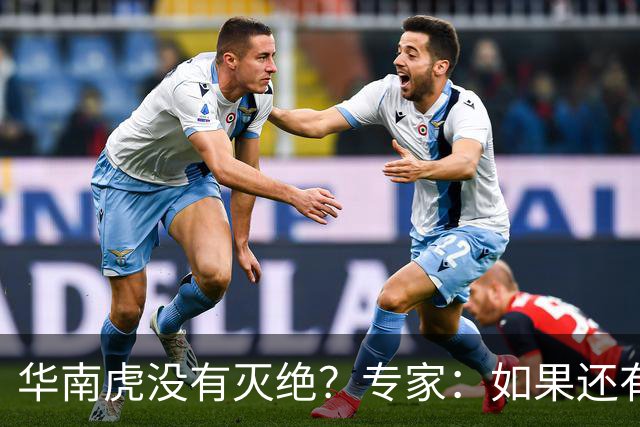 华南虎没有灭绝？专家：如果还有，最可能在山西，不在广东福建
