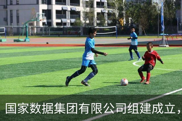 国家数据集团有限公司组建成立，位列央企名录第28位