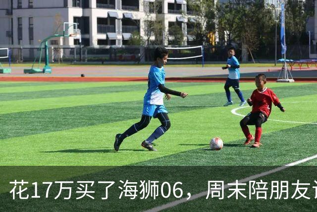 花17万买了海狮06，周末陪朋友试驾理想L6，坐进去心态有点崩
